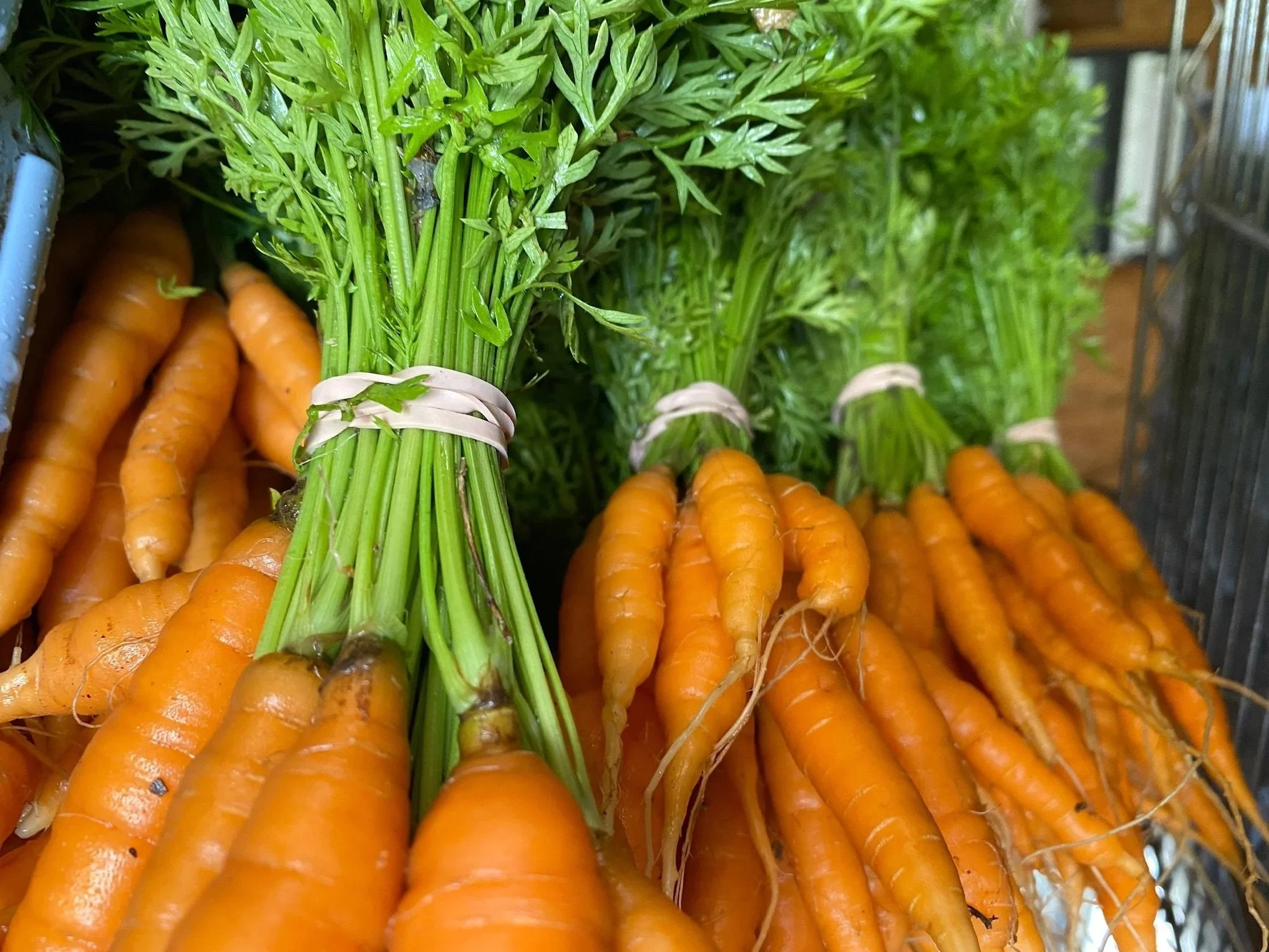 carrots.jpg
