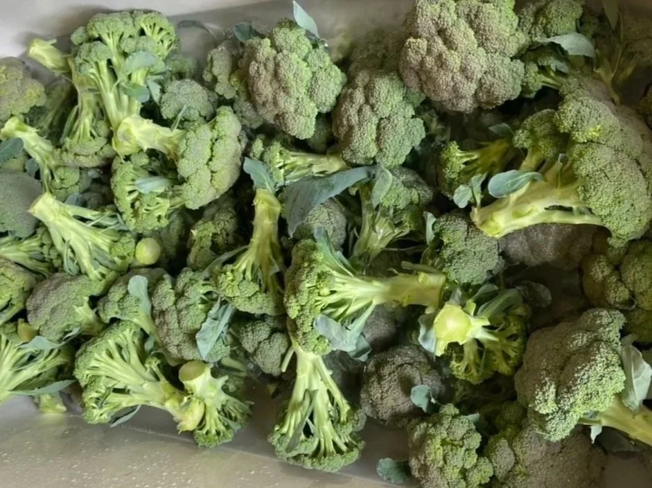 Broccoli.jpg