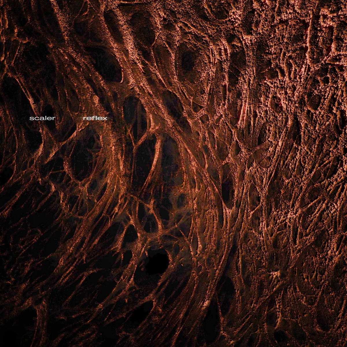  Title  Reflex  
 Artist  Scaler  
 Format  EP  
 Release Date   27 Feb 26  