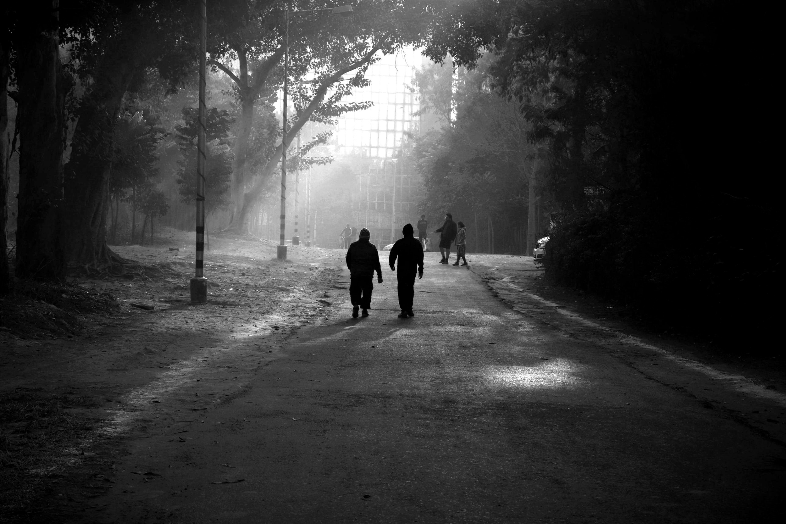 Black-and-white photo of two people walking side by side down a misty, tree-lined road toward a distant building at dawn