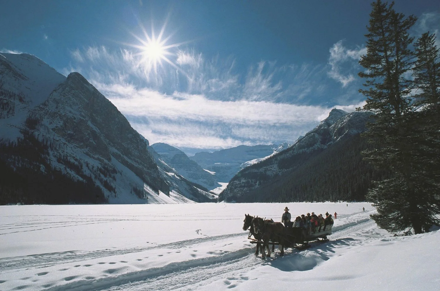 Sleigh Ride Lake Louise Alberta