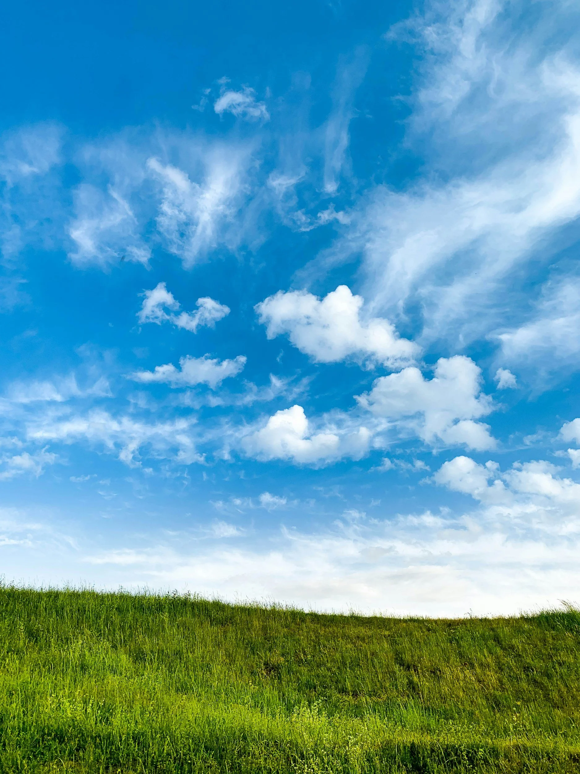 blue sky with white clouds above emerald green grass. Grief therapist Longmont, CO. Trauma therapy Longmont, CO Trauma therapy Longmont, CO