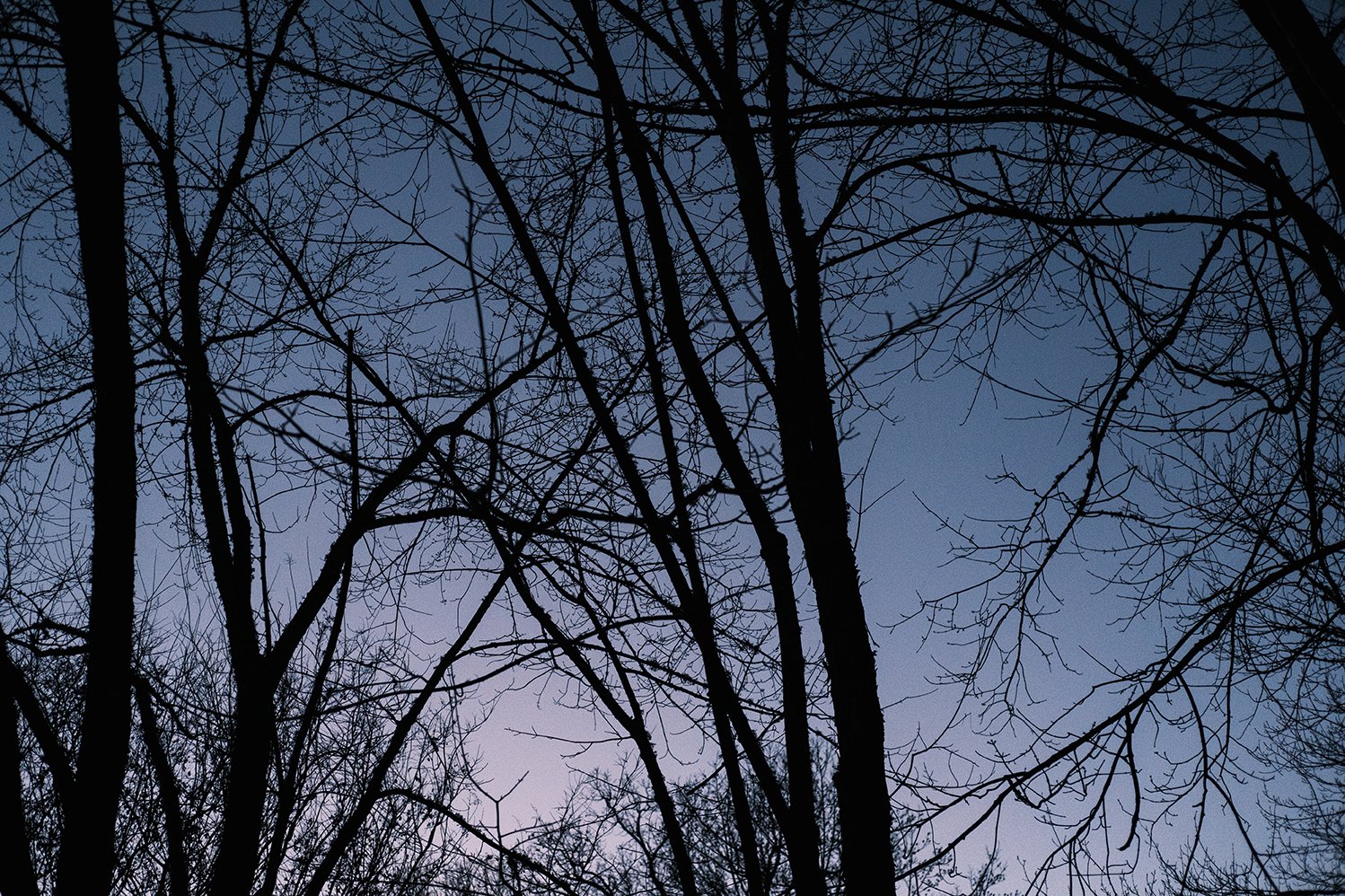 20240202_theridge_nc_0146.jpg