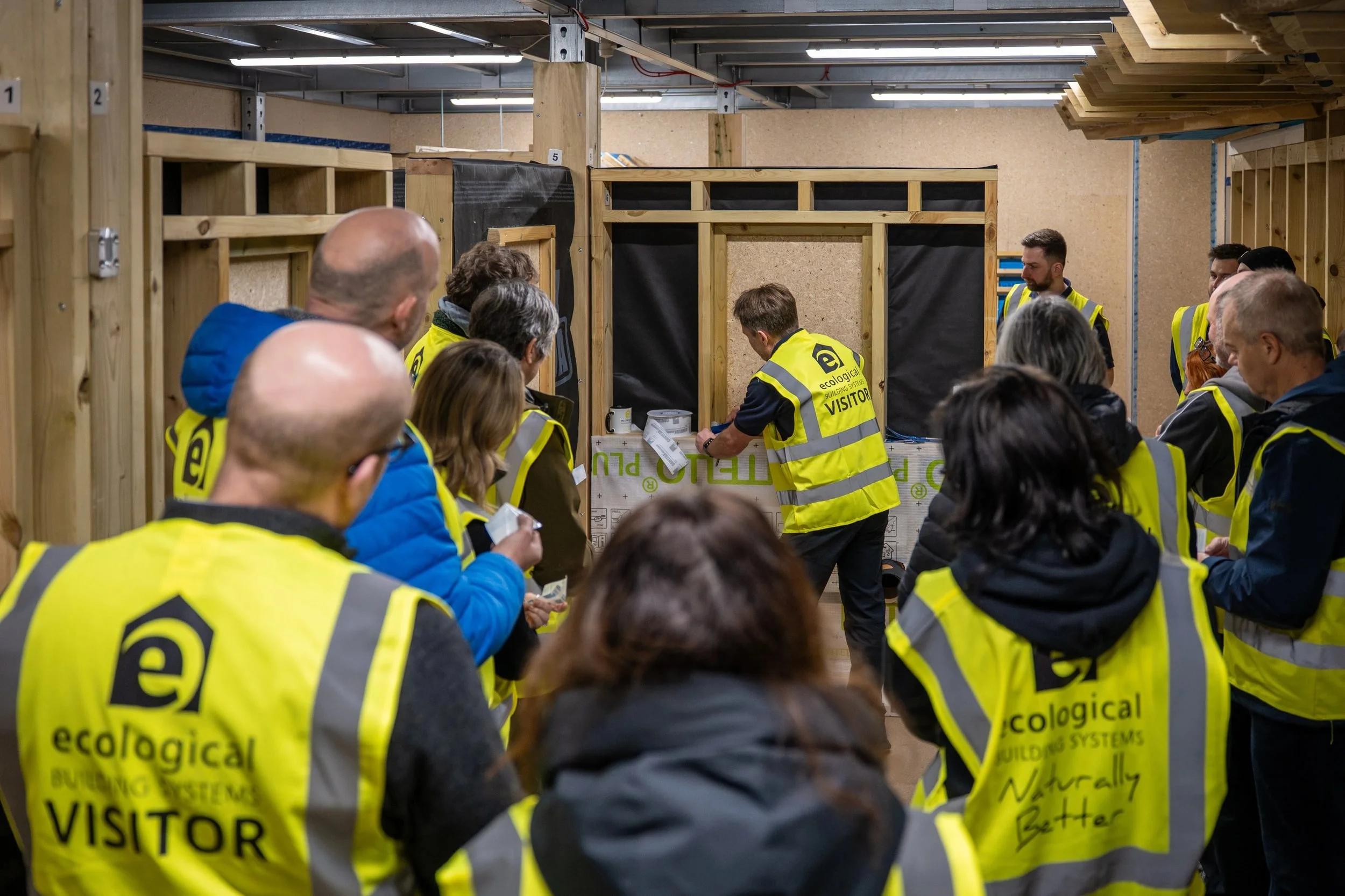 EBSFF4of5-3 - Large.jpg