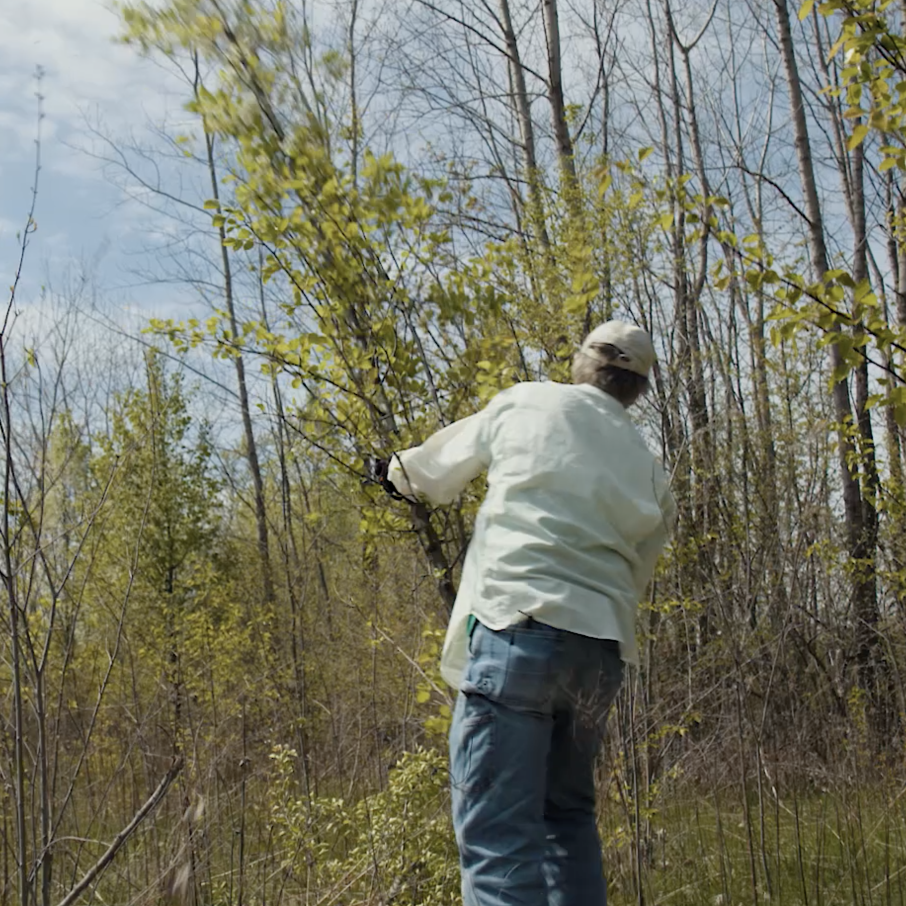 Asa Gauen, The Bradford Pear Problem, 2021




