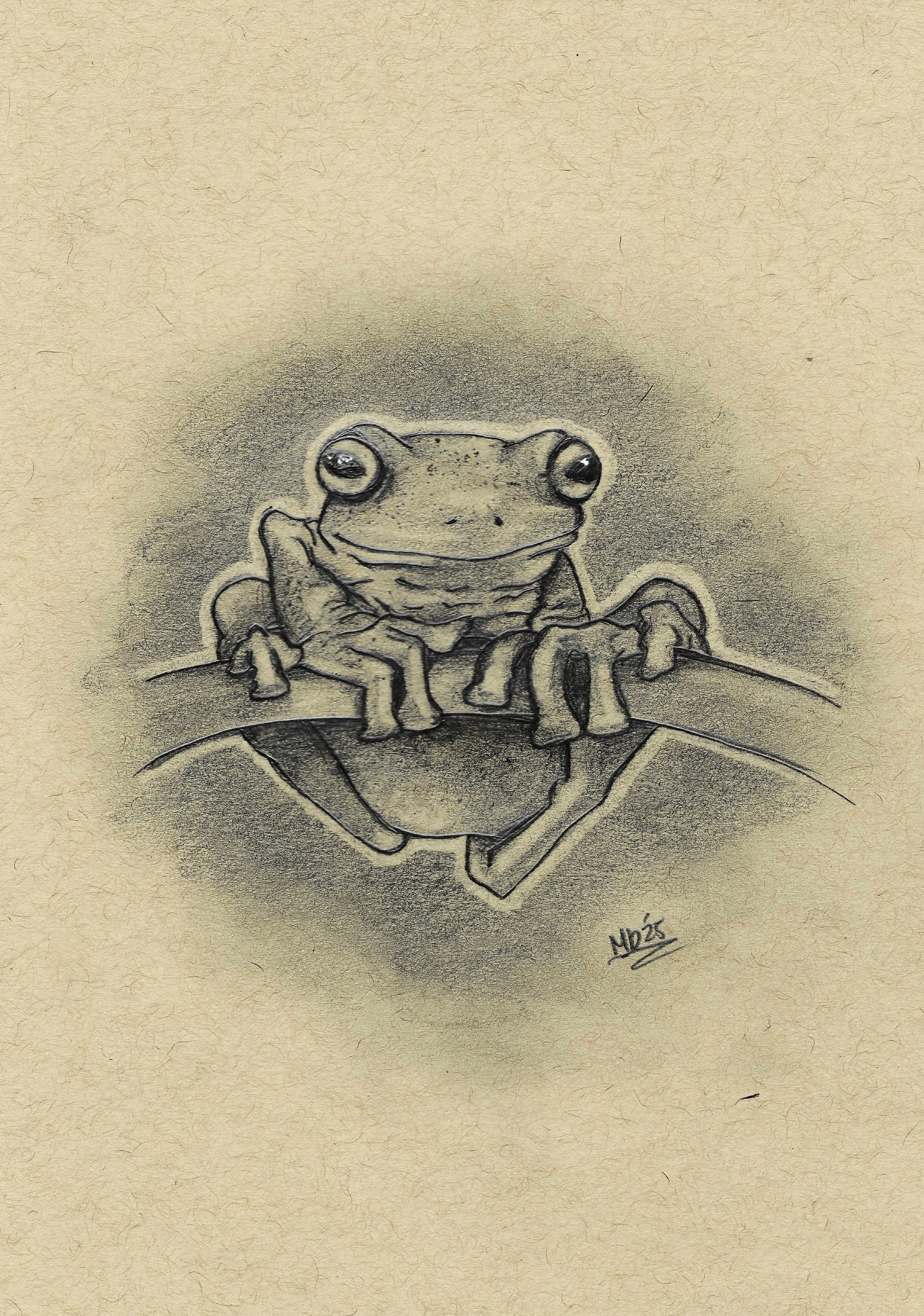 frog.jpg