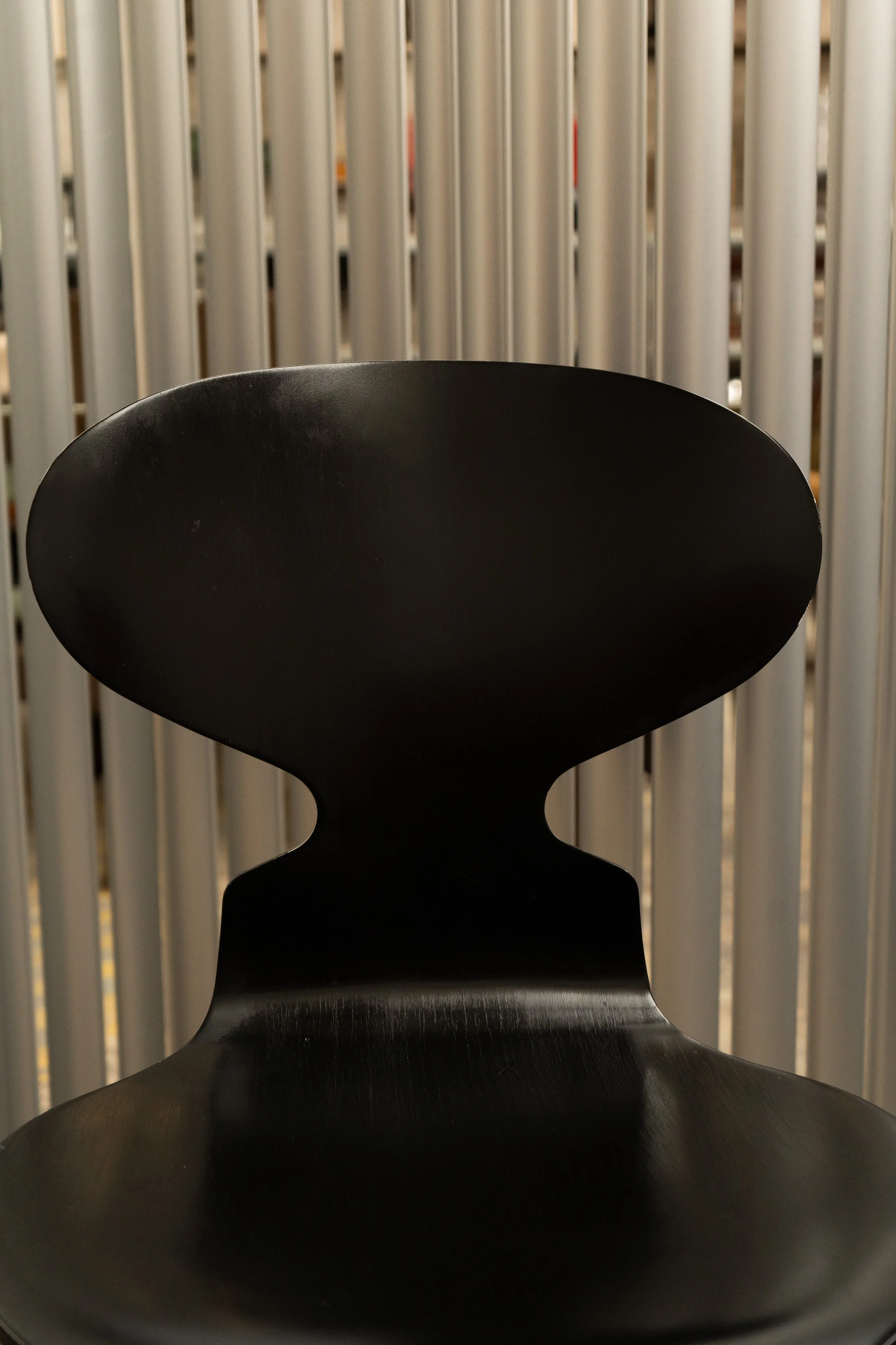 DSC00813.jpg