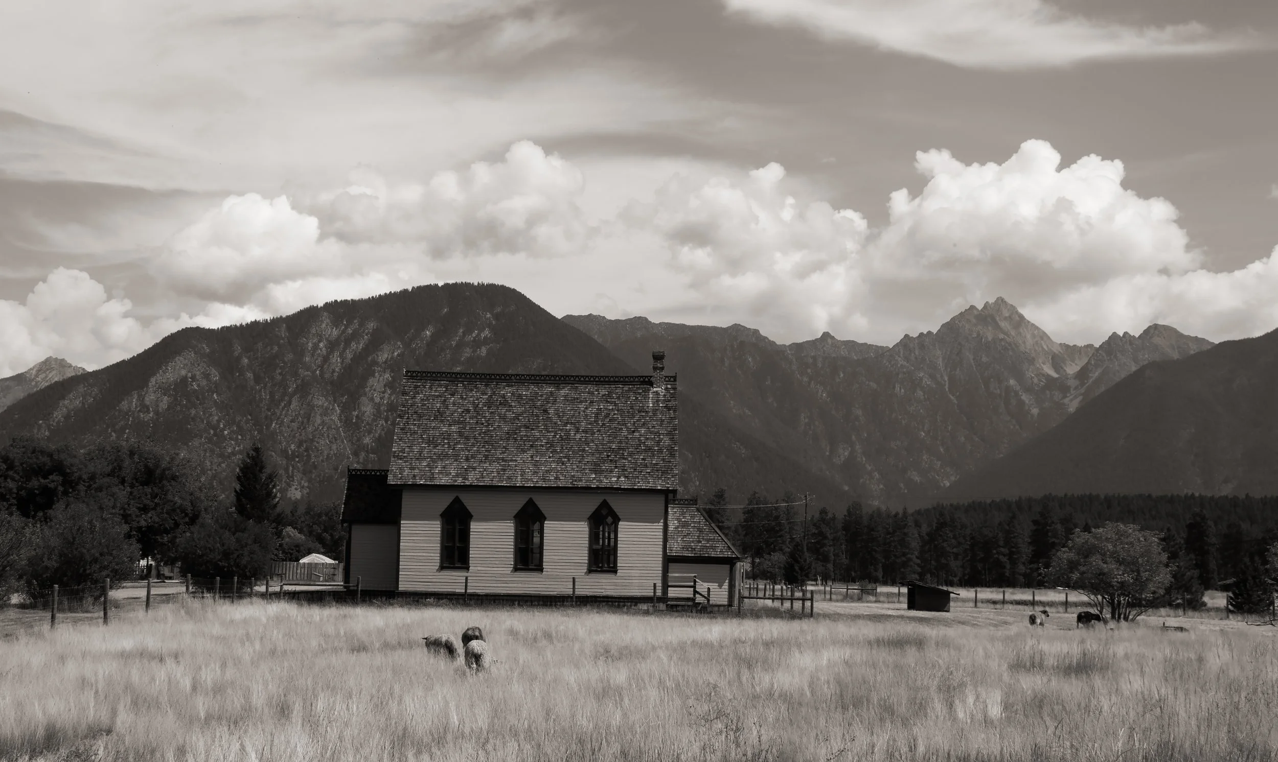 Sheep_and_House.jpg