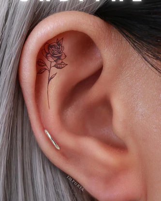 Afbeelding zonder ALT