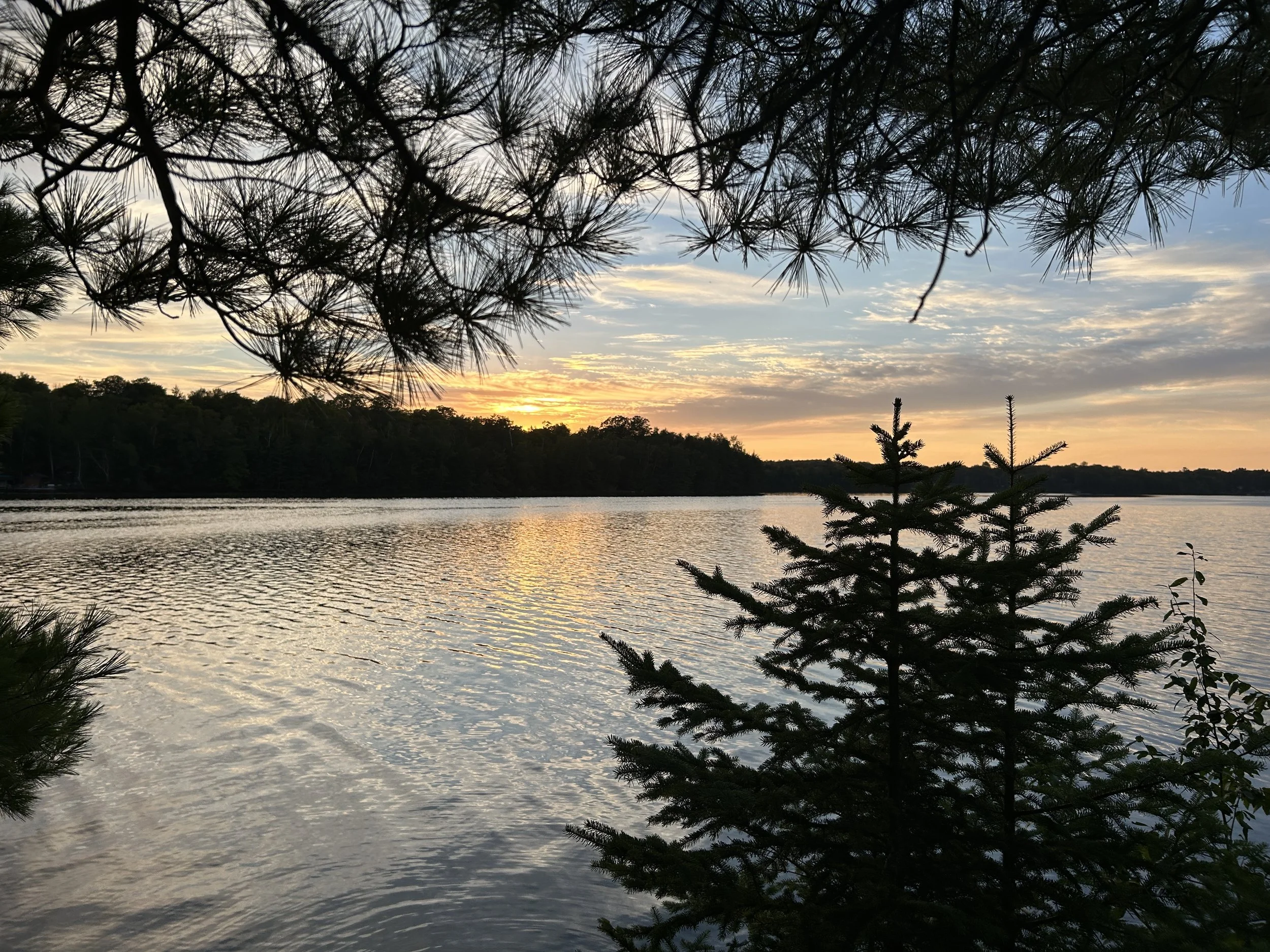 Photo Sep 13 2024, 7 02 44 PM.jpg