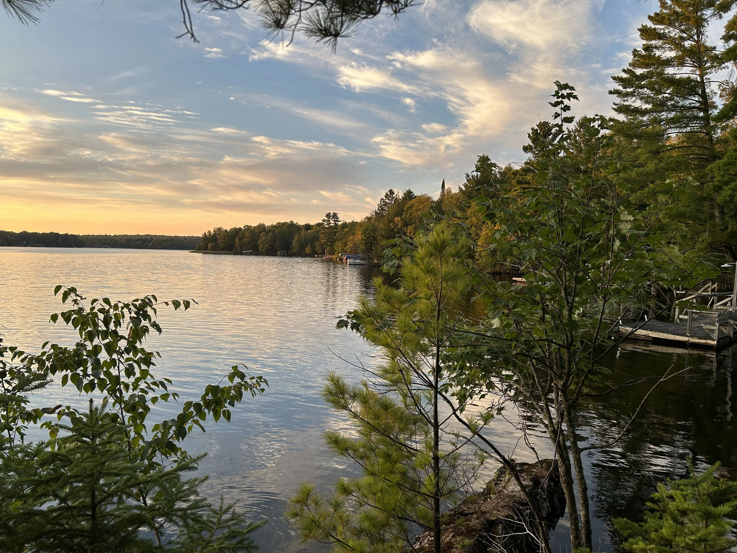 Photo Sep 13 2024, 7 02 54 PM.jpg