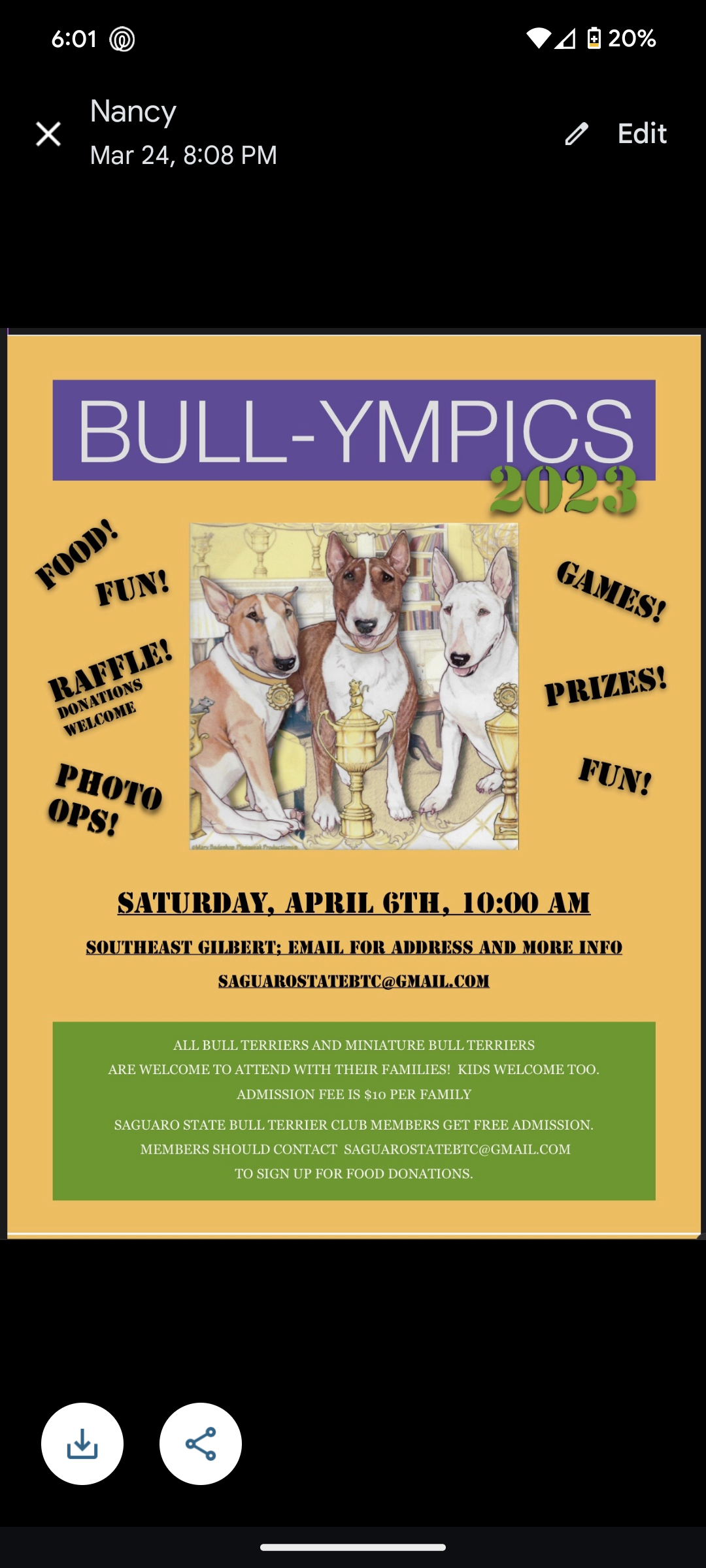 Bull-ympics