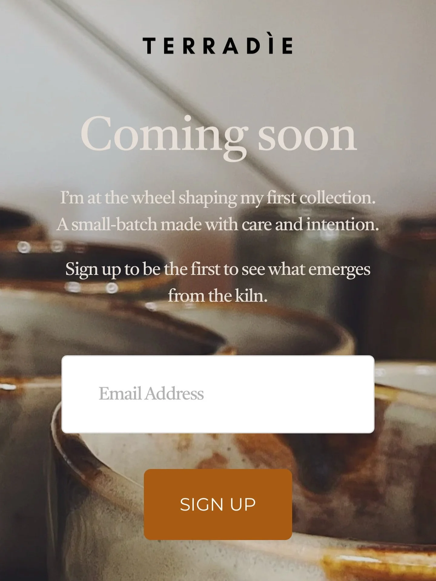 Preparing for the website launch ✨
If you want to be notified when the first drop goes live on the website, sign up and I will keep you posted on the updates .

Working on the shipping details 🤯

#pottery #potterylife #potterylove #ceramics #clay #a