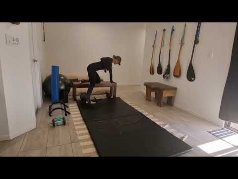WEIGHTED TRICEP KICK BACKS