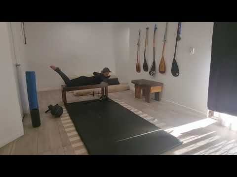 PRONE DUMBBELL ROWS with LOWER BACK RAISES