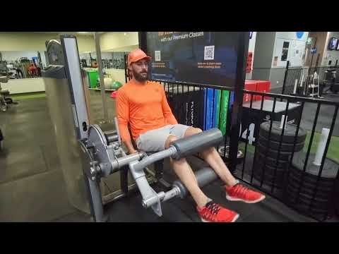 SEATED LEG CURLS