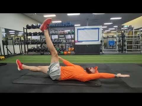 SUPINE ALTERNATING ARM + LEG EXTENSIONS