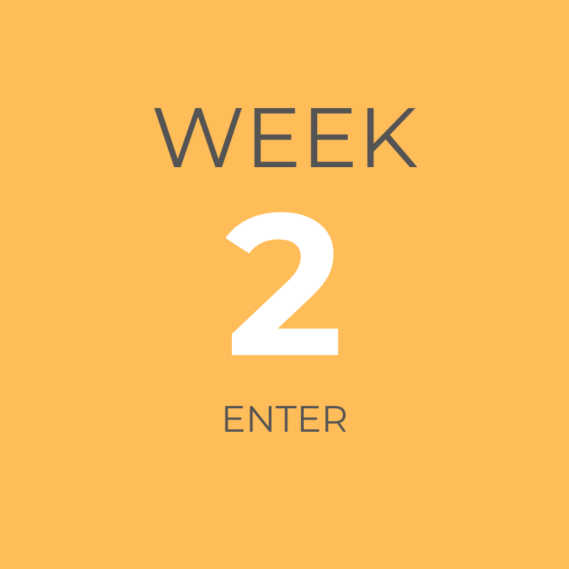 ORANGE WEEK 2.png