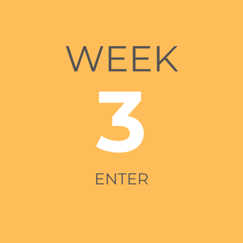 ORANGE WEEK 3.png