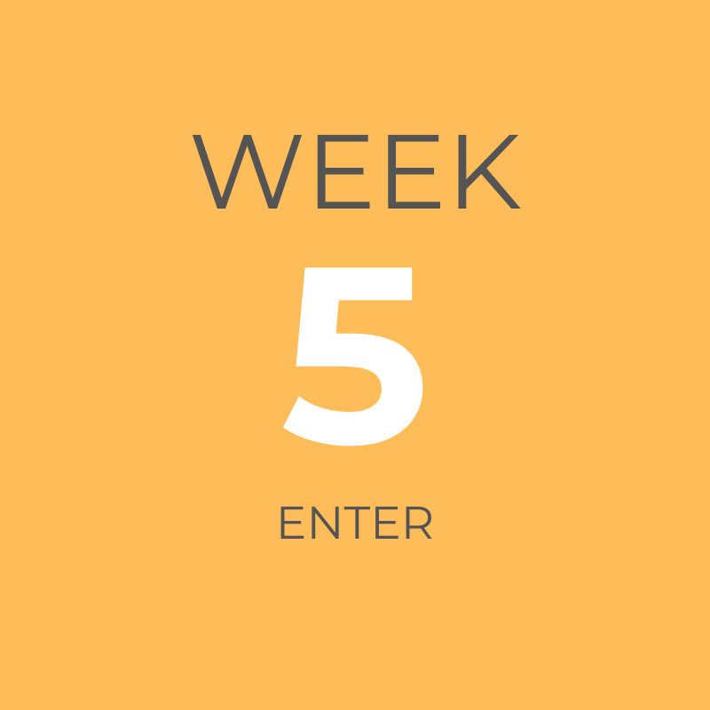 ORANGE WEEK 5.png