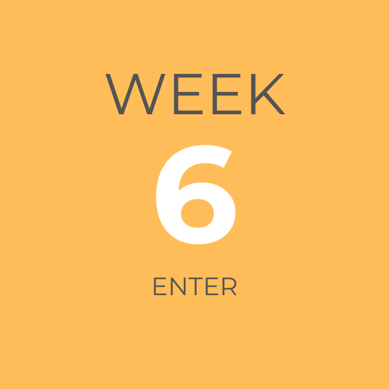 ORANGE WEEK 6.png