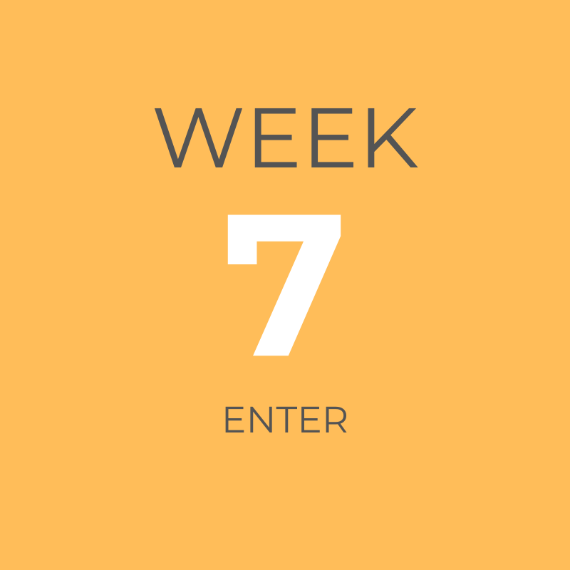 ORANGE WEEK 7.png