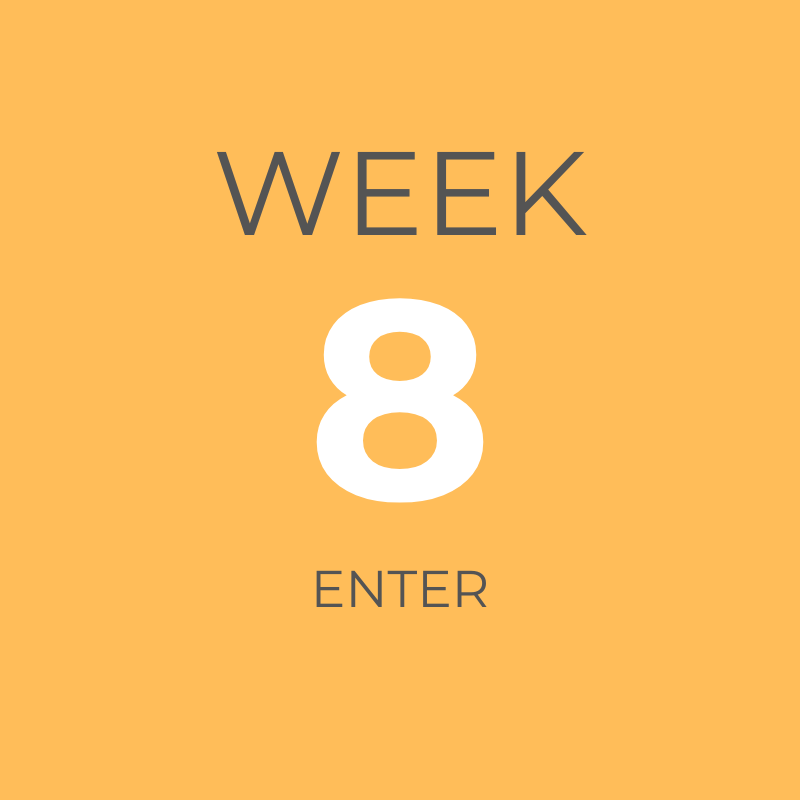 ORANGE WEEK 8.png