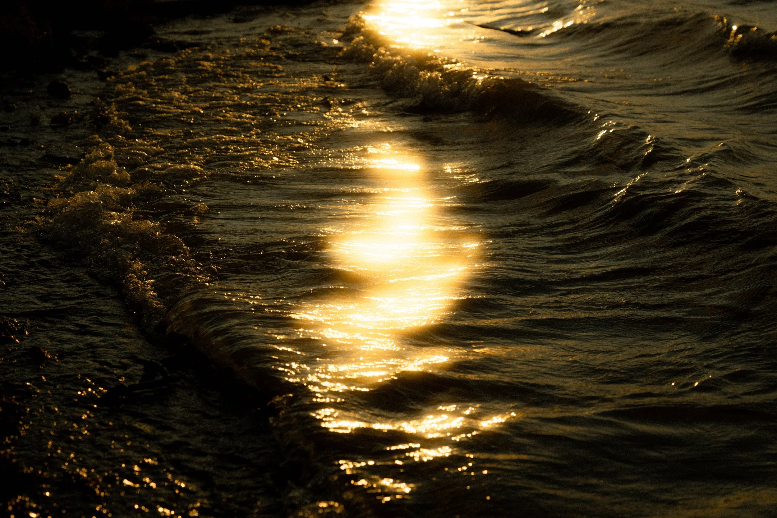 Vagues de mer sous la lumière du soleil couchant, reflet doré sur l'eau.