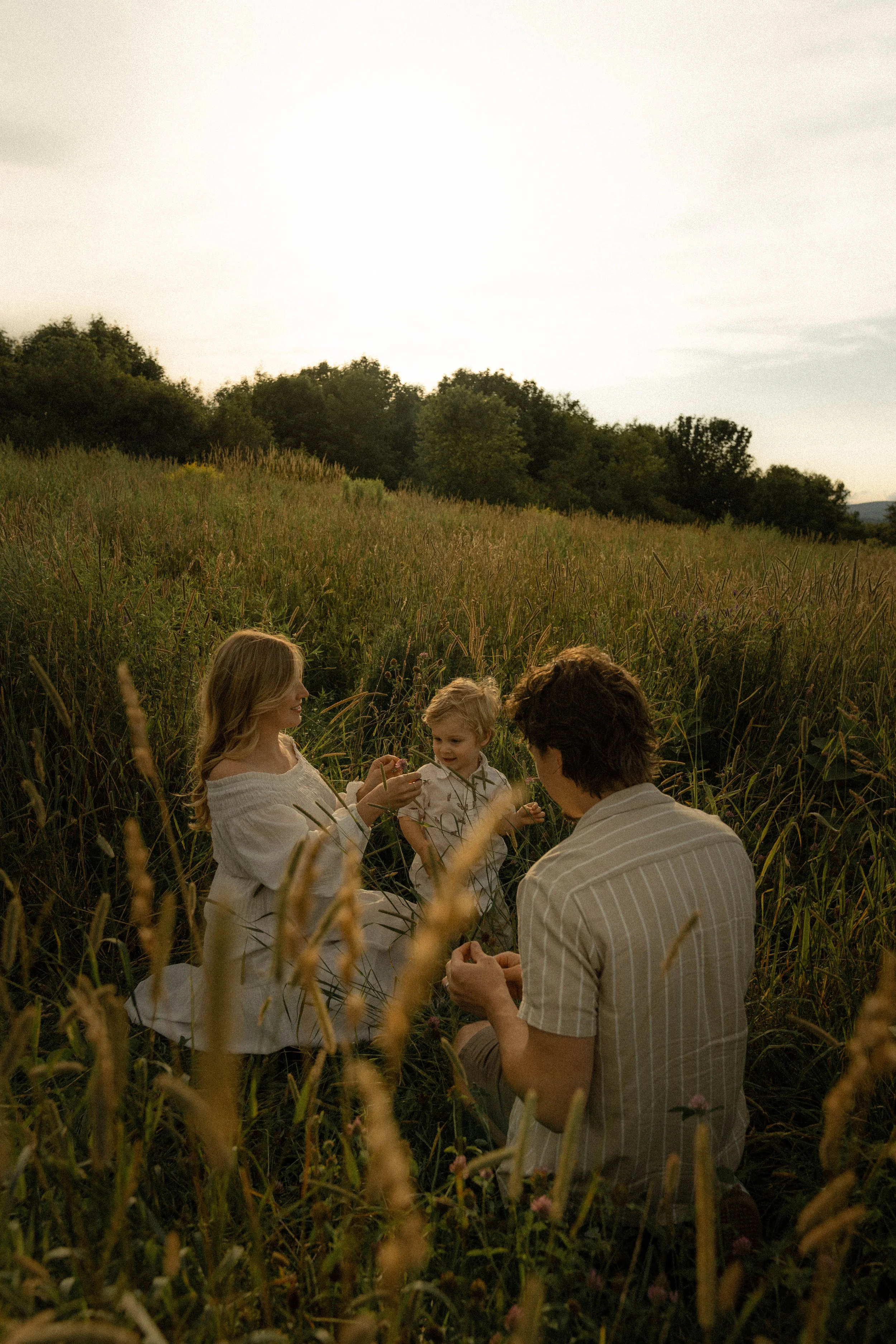 Un groupe de personnes, dont des enfants, assises dans un champ de blé ou d'herbes hautes, en train de discuter ou de partager un moment ensemble, avec des arbres en arrière-plan et un ciel clair.