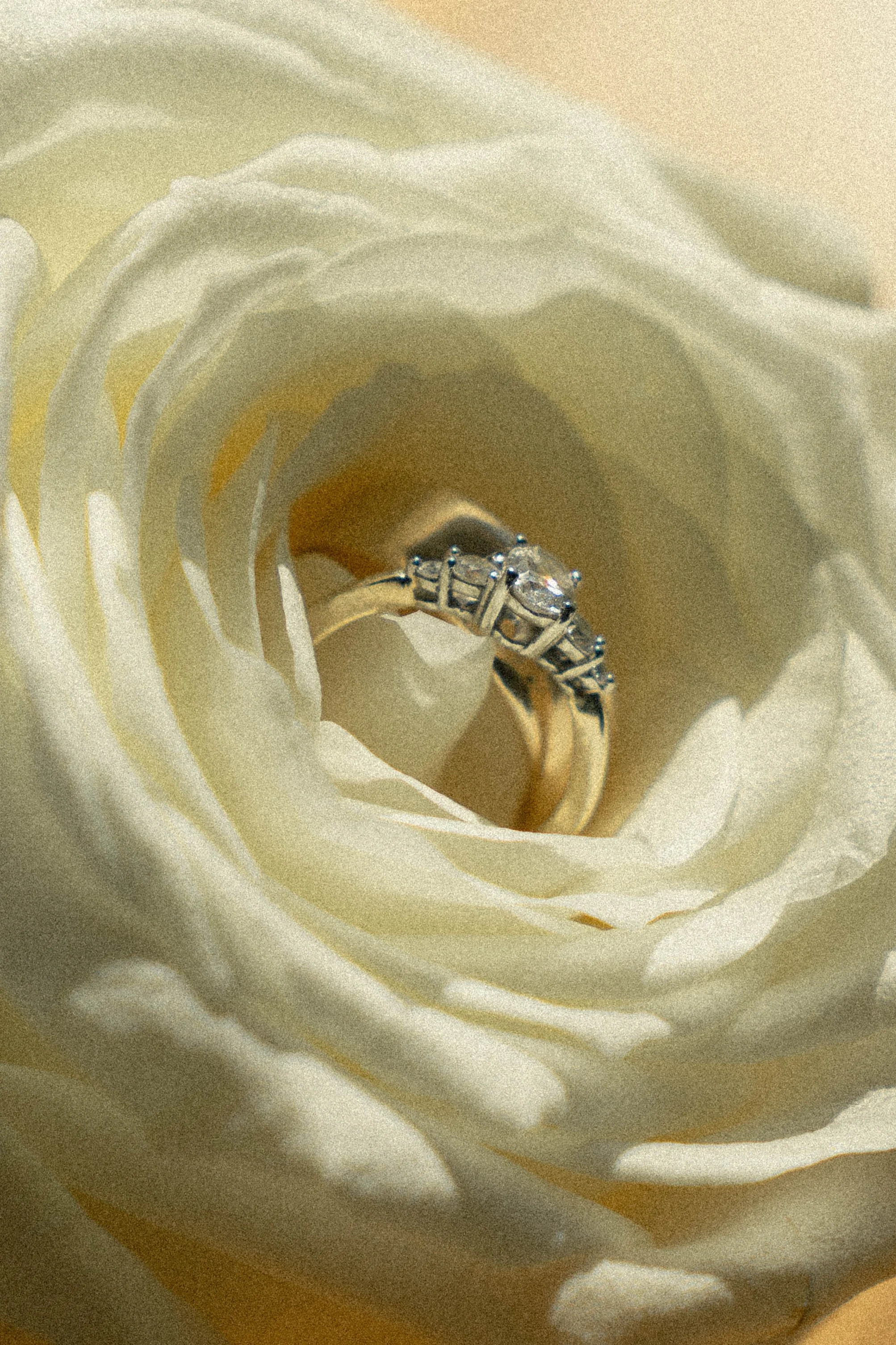 MARIAGE-06173.jpg