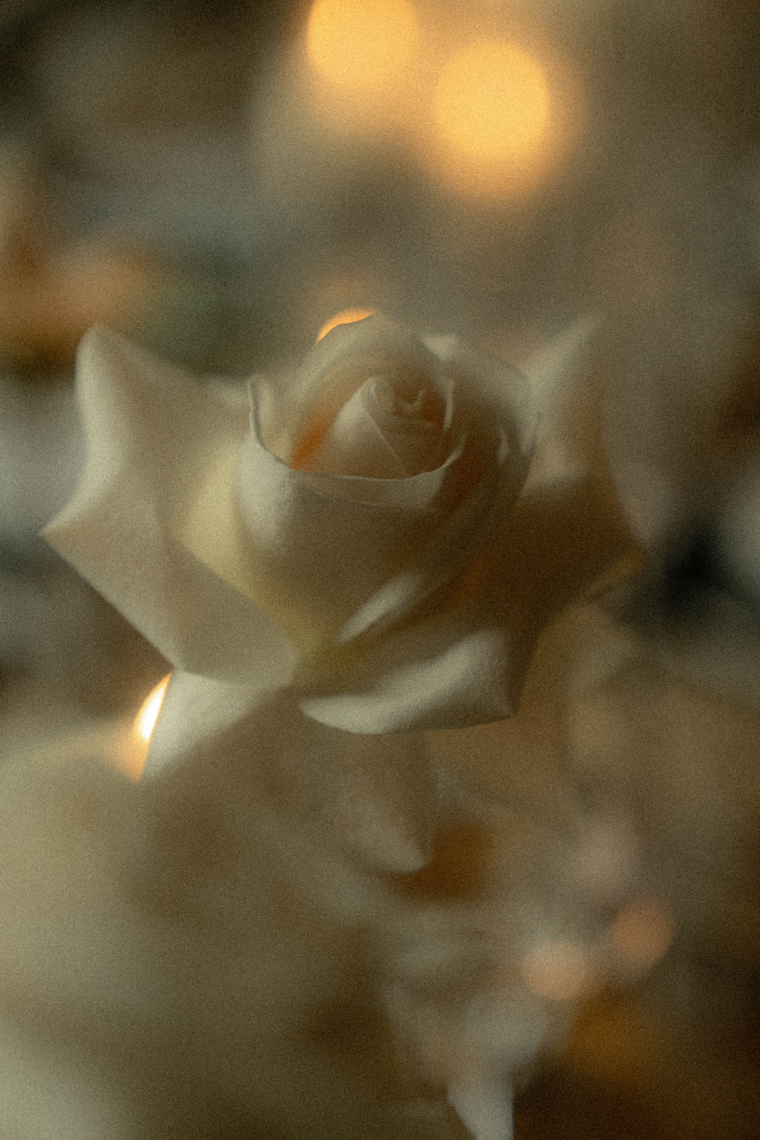 DSC04483.jpg