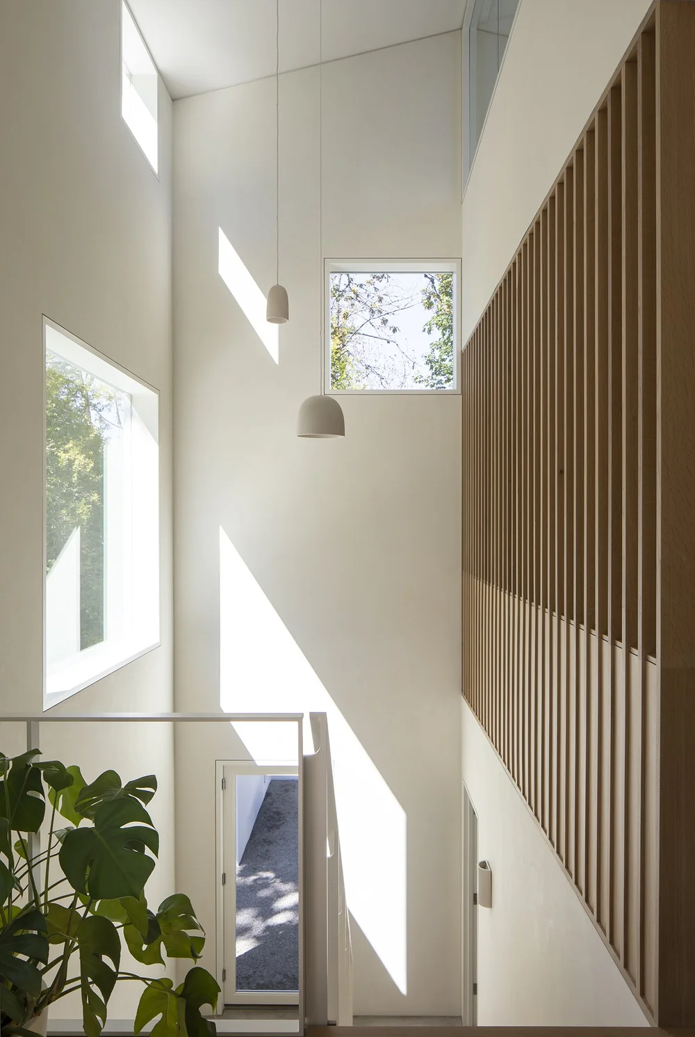 Tonal House — Observation Studio