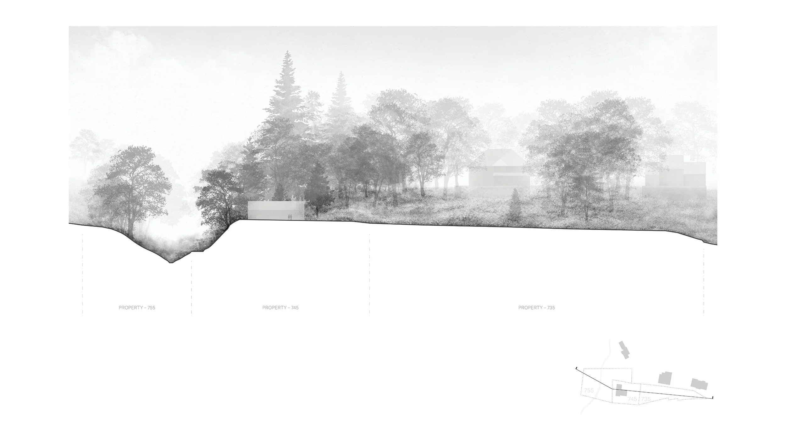 Site Section.jpg