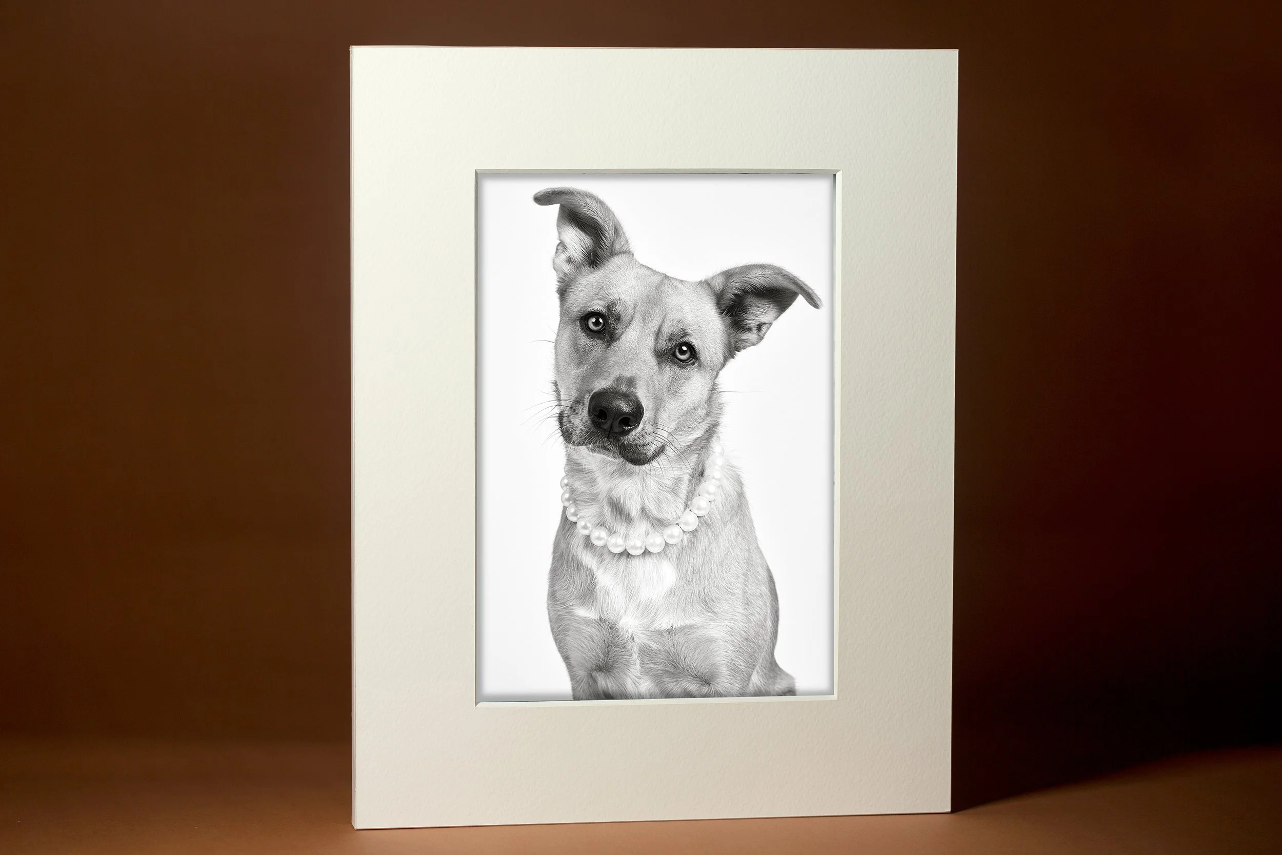 Products Matted Prints Web.jpg