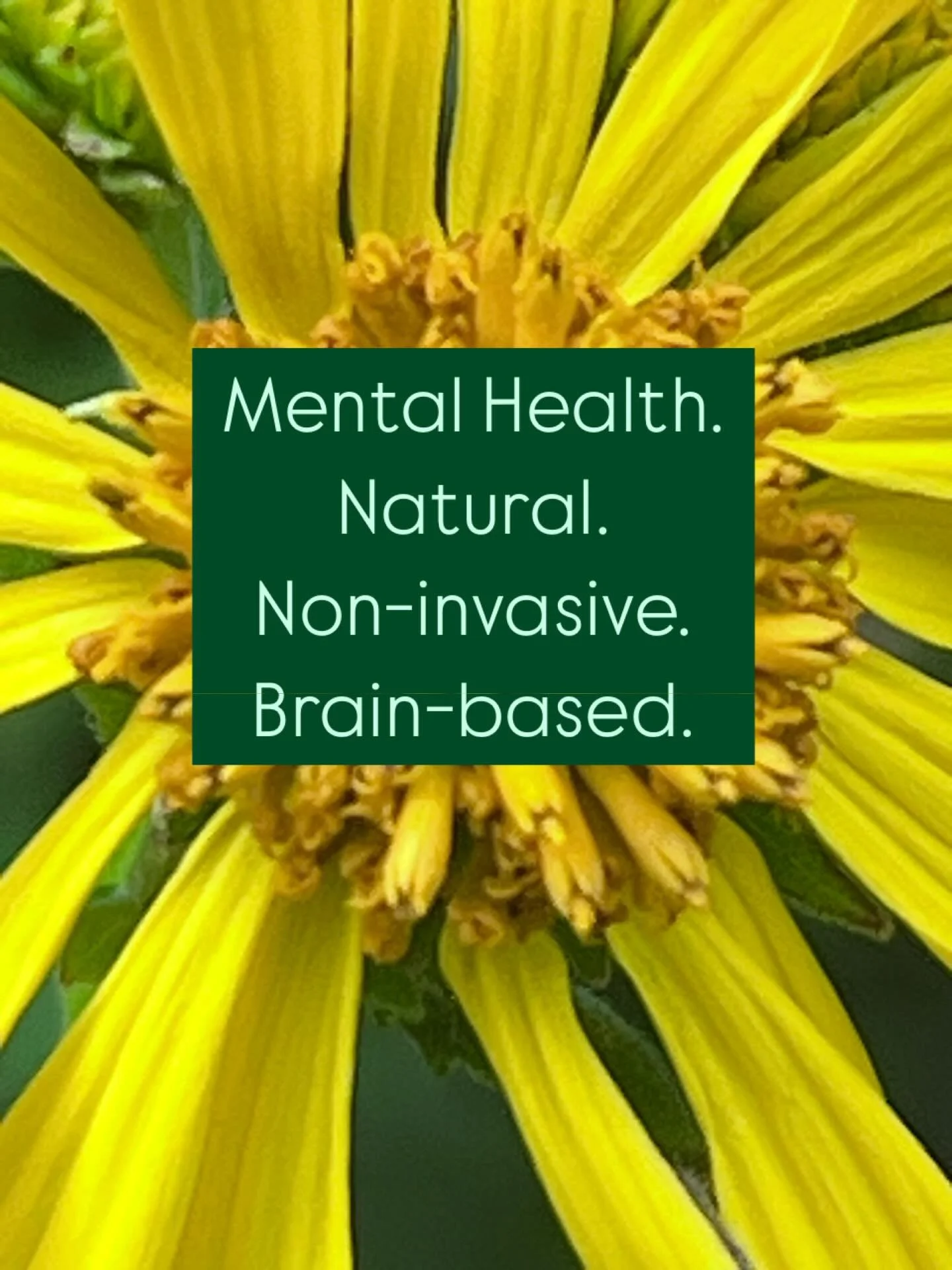 ✨Medication helps symptoms. Therapy helps awareness. Neurofeedback helps your brain change.

 At Boost Neurofeedback in Nashville, we offer a science-backed, non-invasive approach to mental wellness that trains your brain to work better

📈 Personali