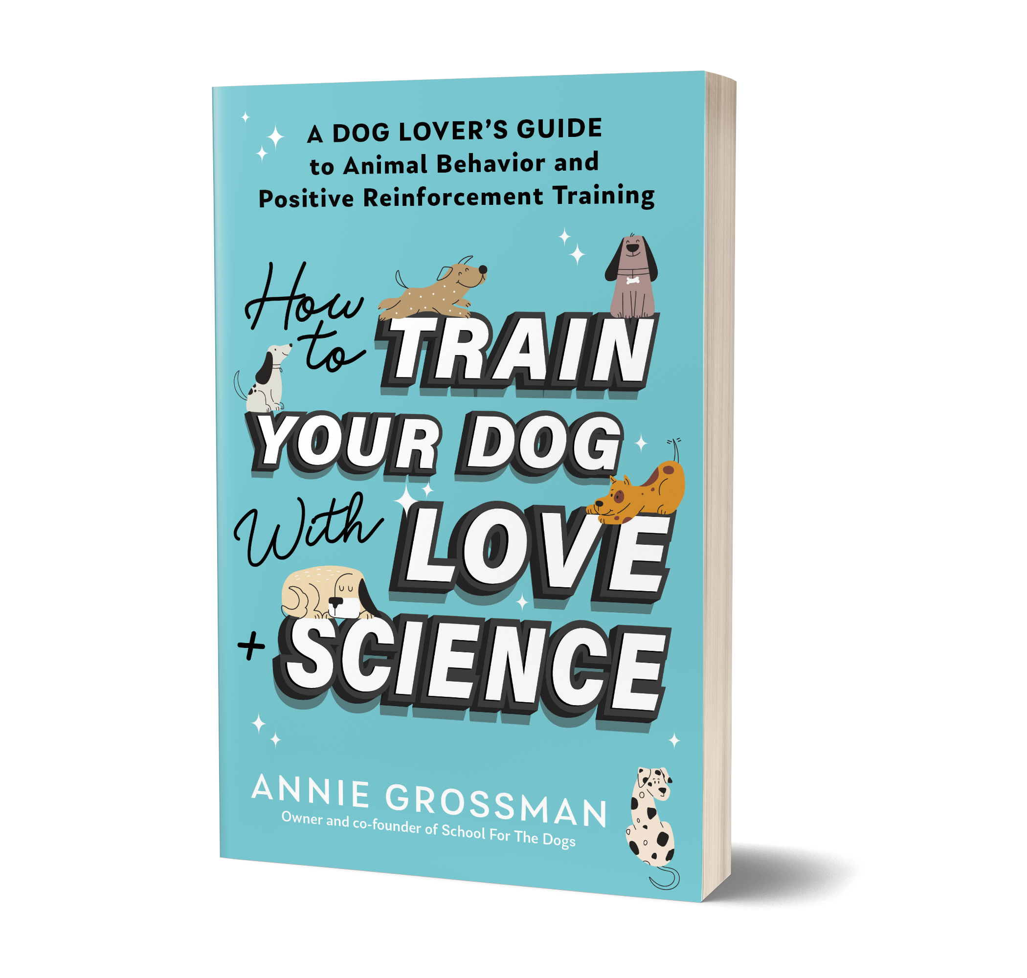 How to Train Your Dog.png