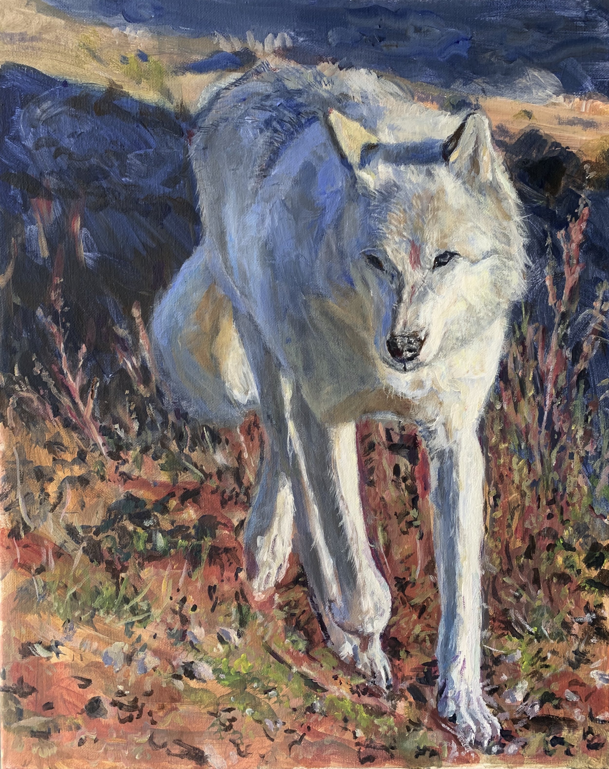 "Wolf Walk"