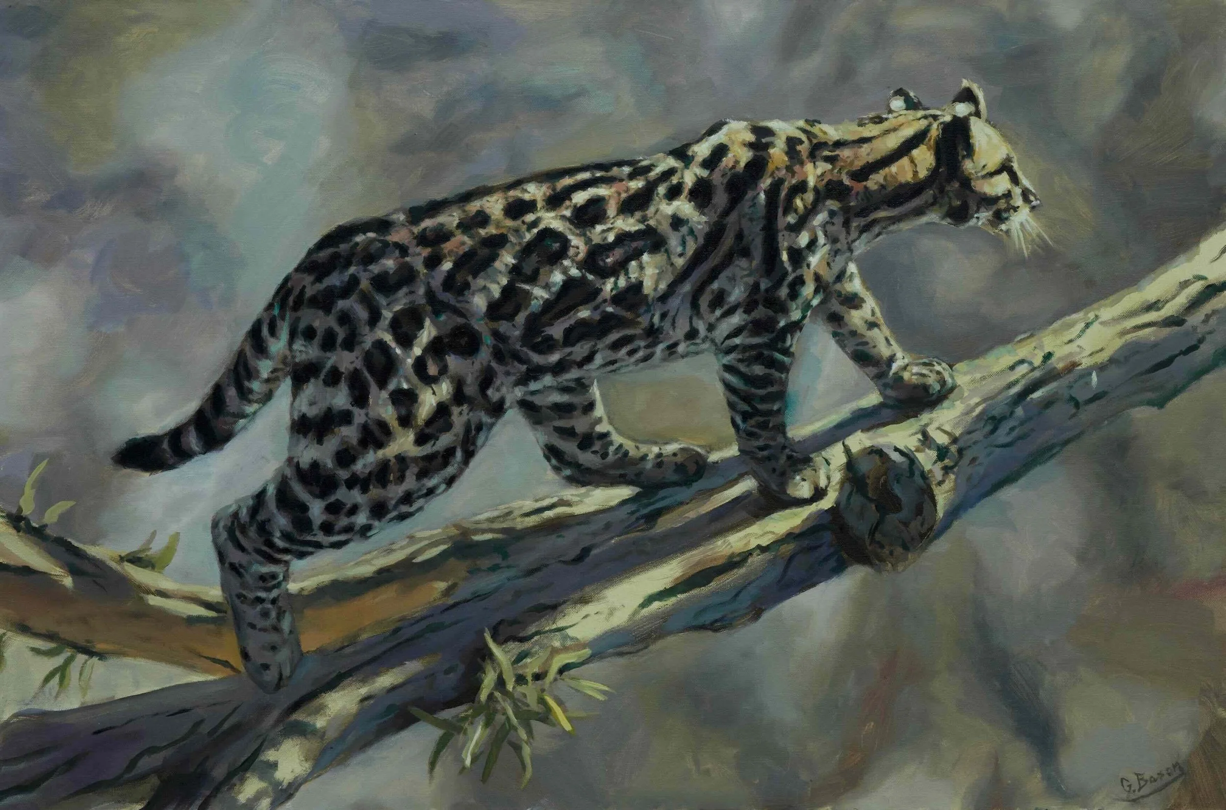 Ocelot Stepping Into the Light