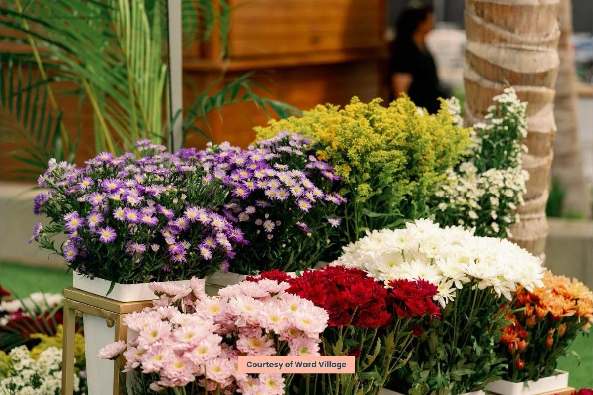 Colored flowers including purple daisies, pink chrysanthemums, red carnations, white daisies, and orange flowers on display at a market stall, with a person in the background.