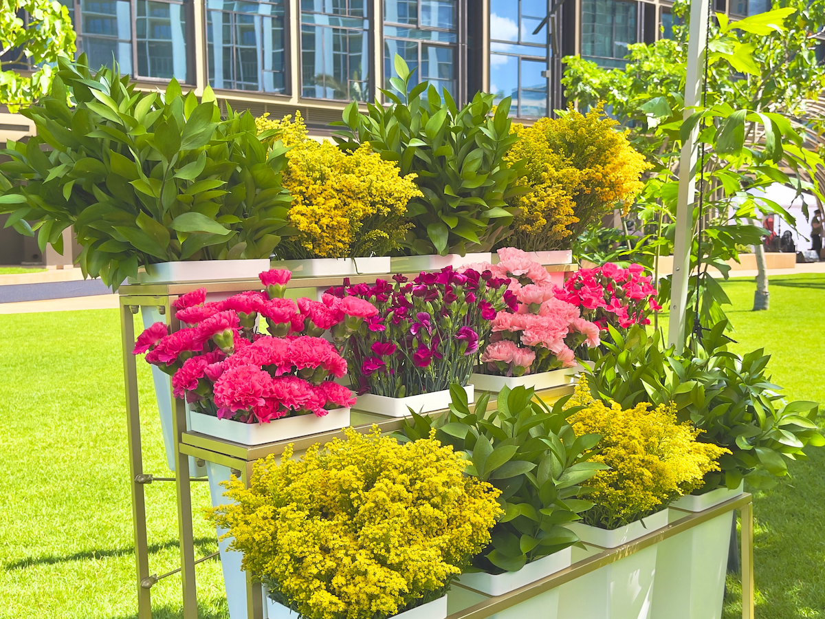 Send Summer Blooms: Honolulu’s Season of Color