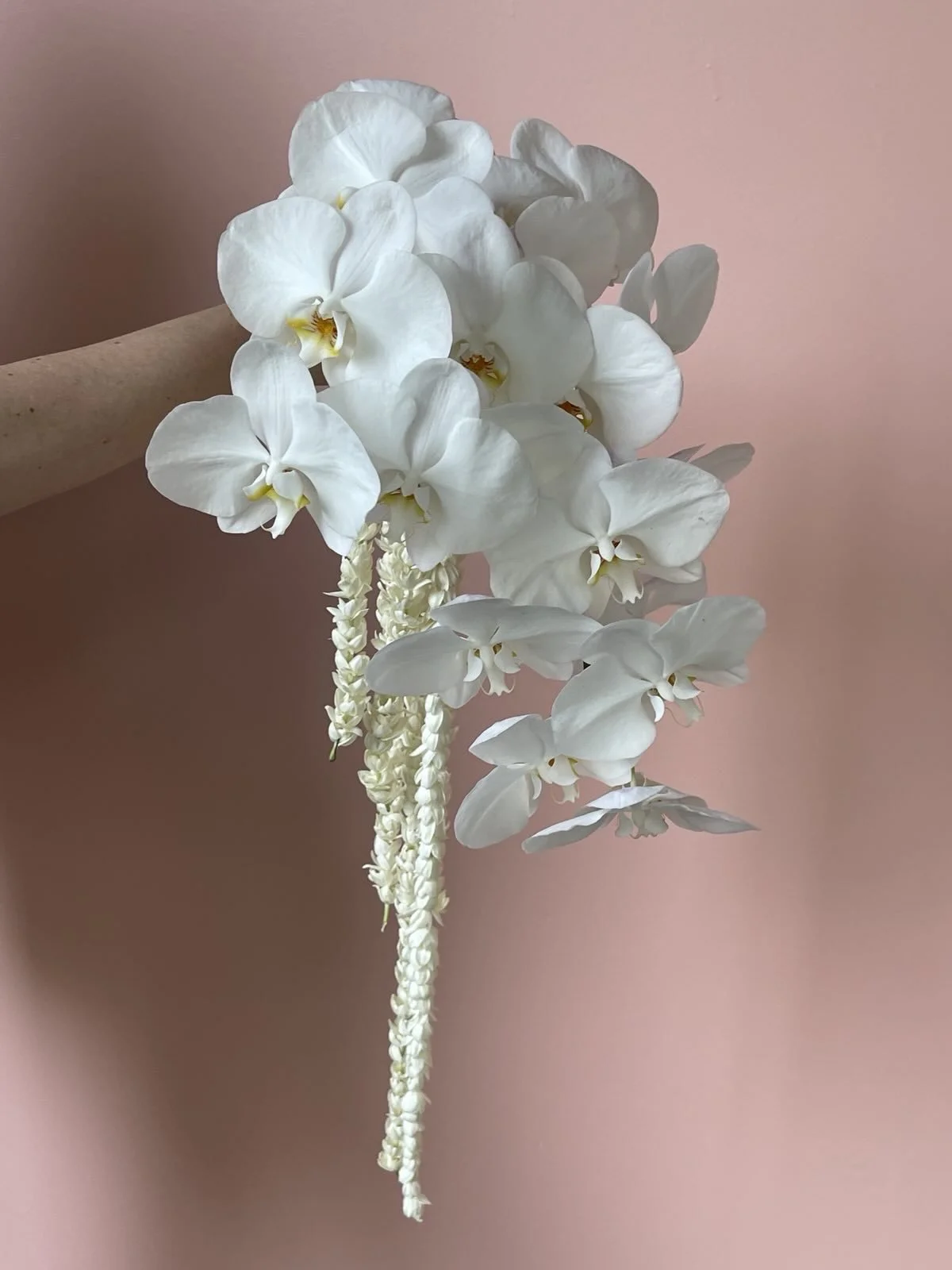 A hand holding a bunch of white orchids with a pink background.