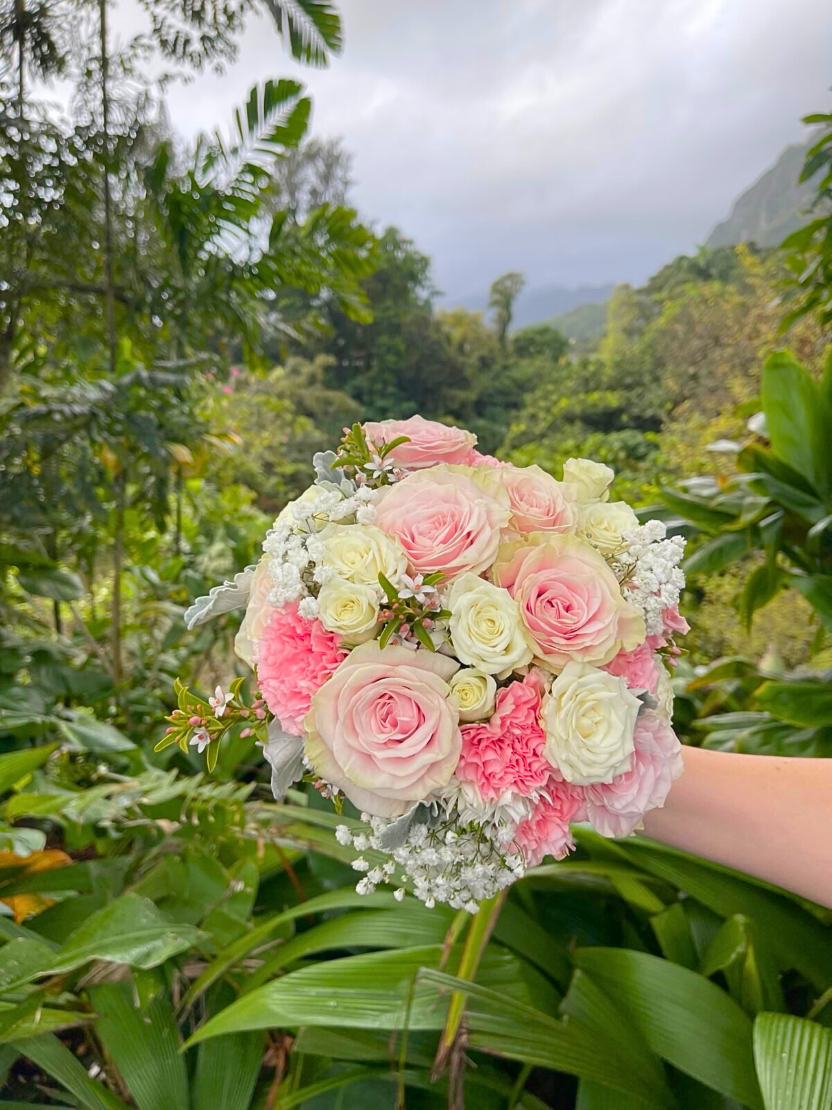 A hand holding a bouquet of pink and cream roses, white carnations, and other small white flowers outdoors with a lush green landscape and mountains in the background.