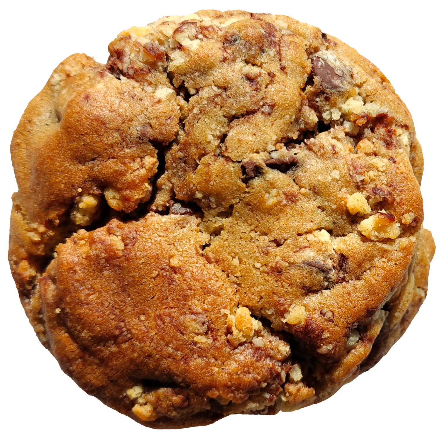 Cinnamon Bun Chocolate Chip