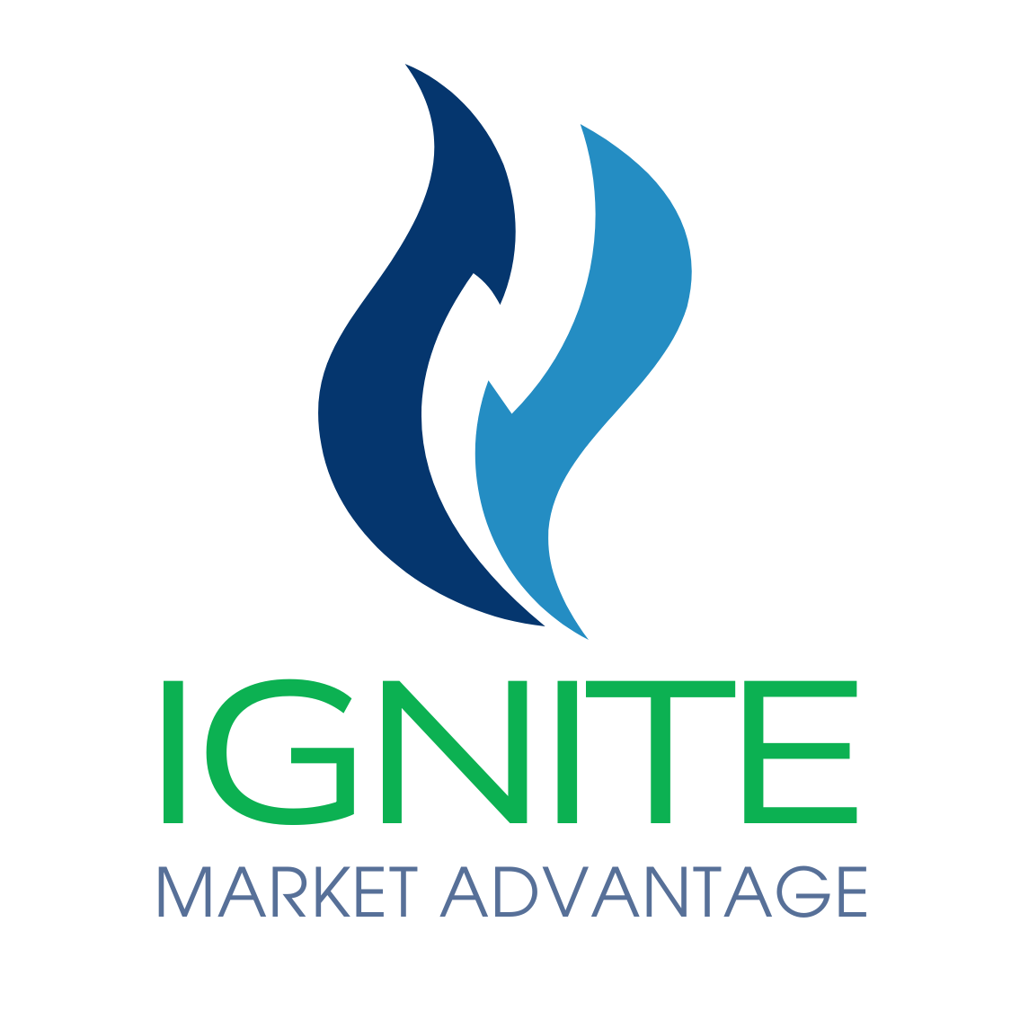 Ignite Market Advantage
