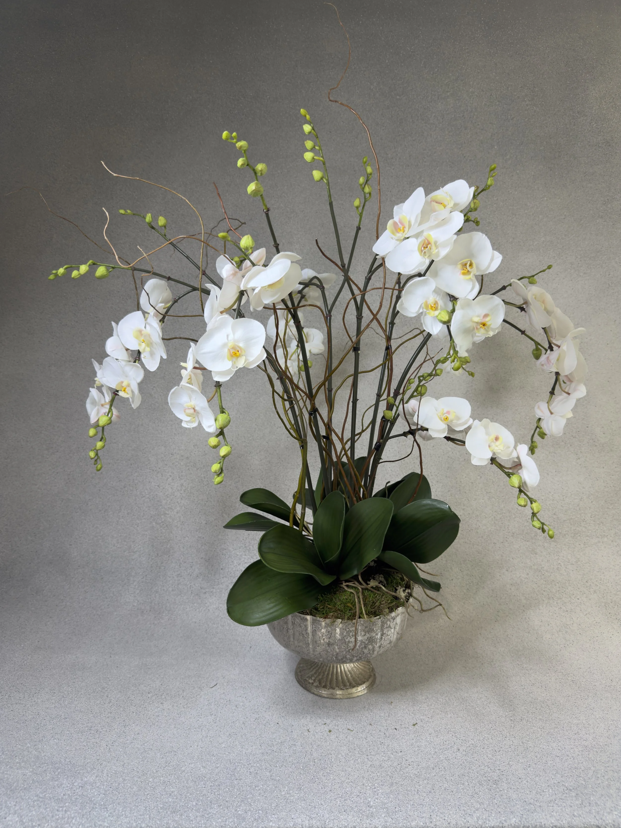 Large Orchid Centerpiece