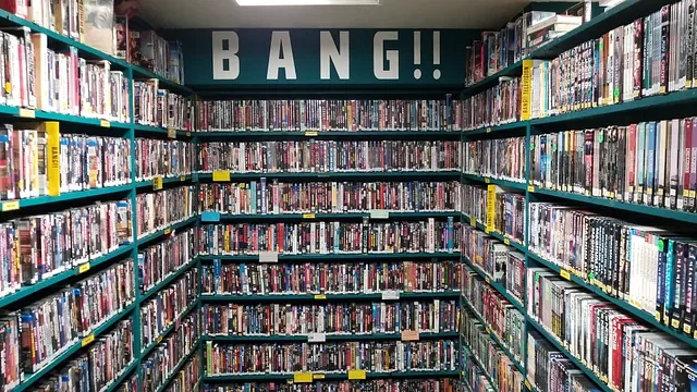 Essential Video Stores: Scarecrow Video