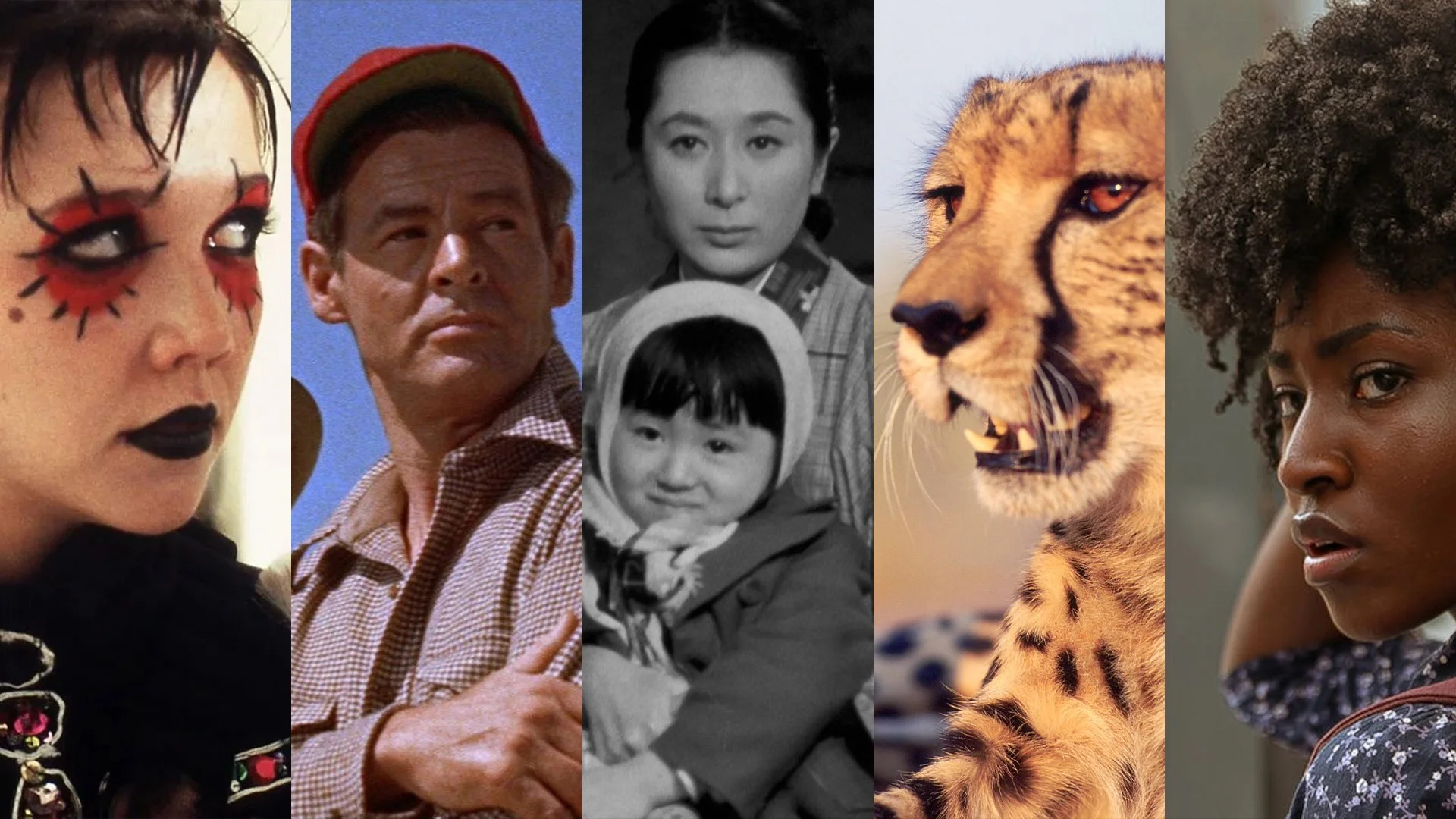 Letterboxd: Favorite First-Time Watches of 2025 — BREAKING GLASS