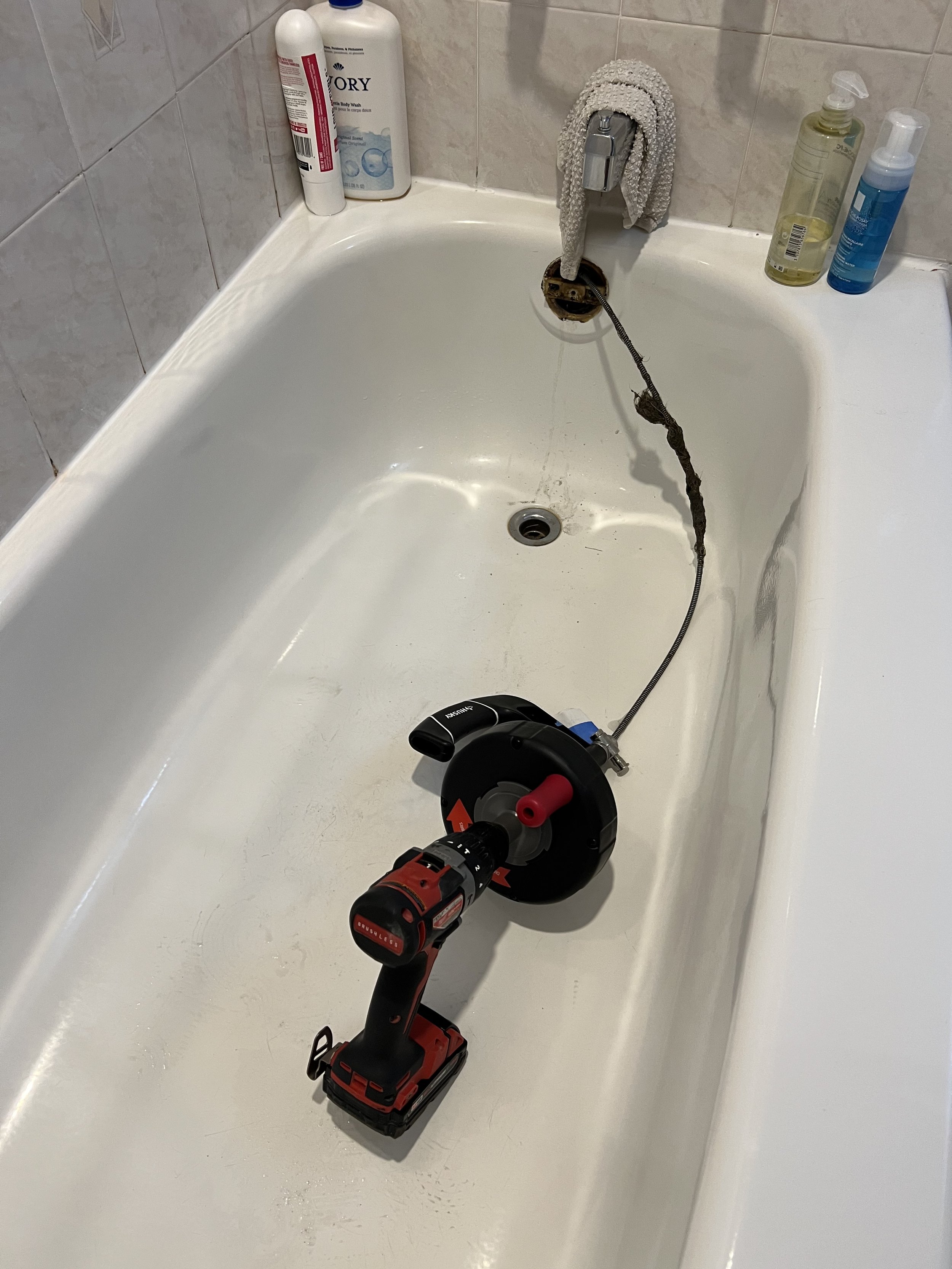 IMG_6569.jpeg