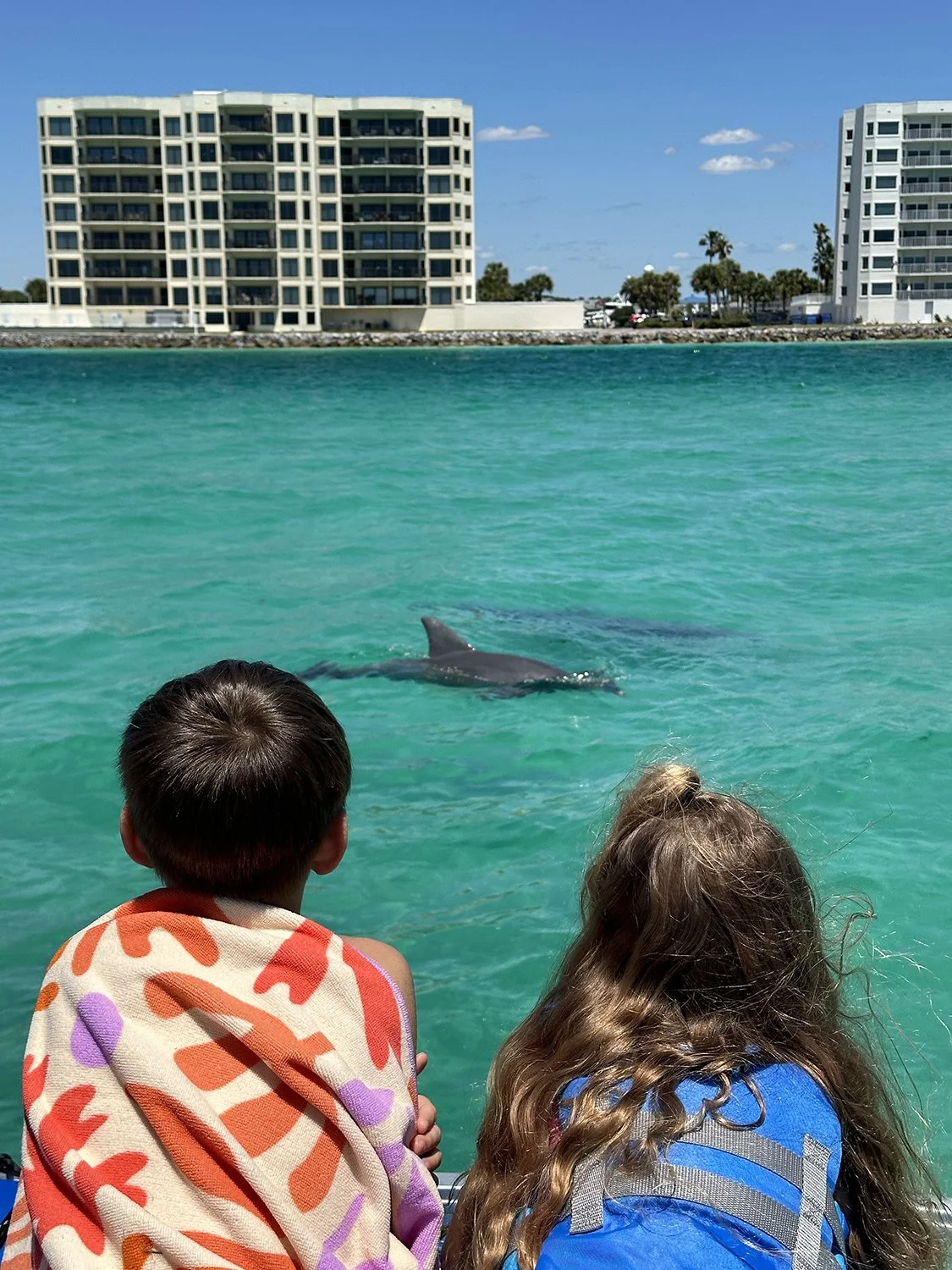 Destin Florida Dolphin Tours