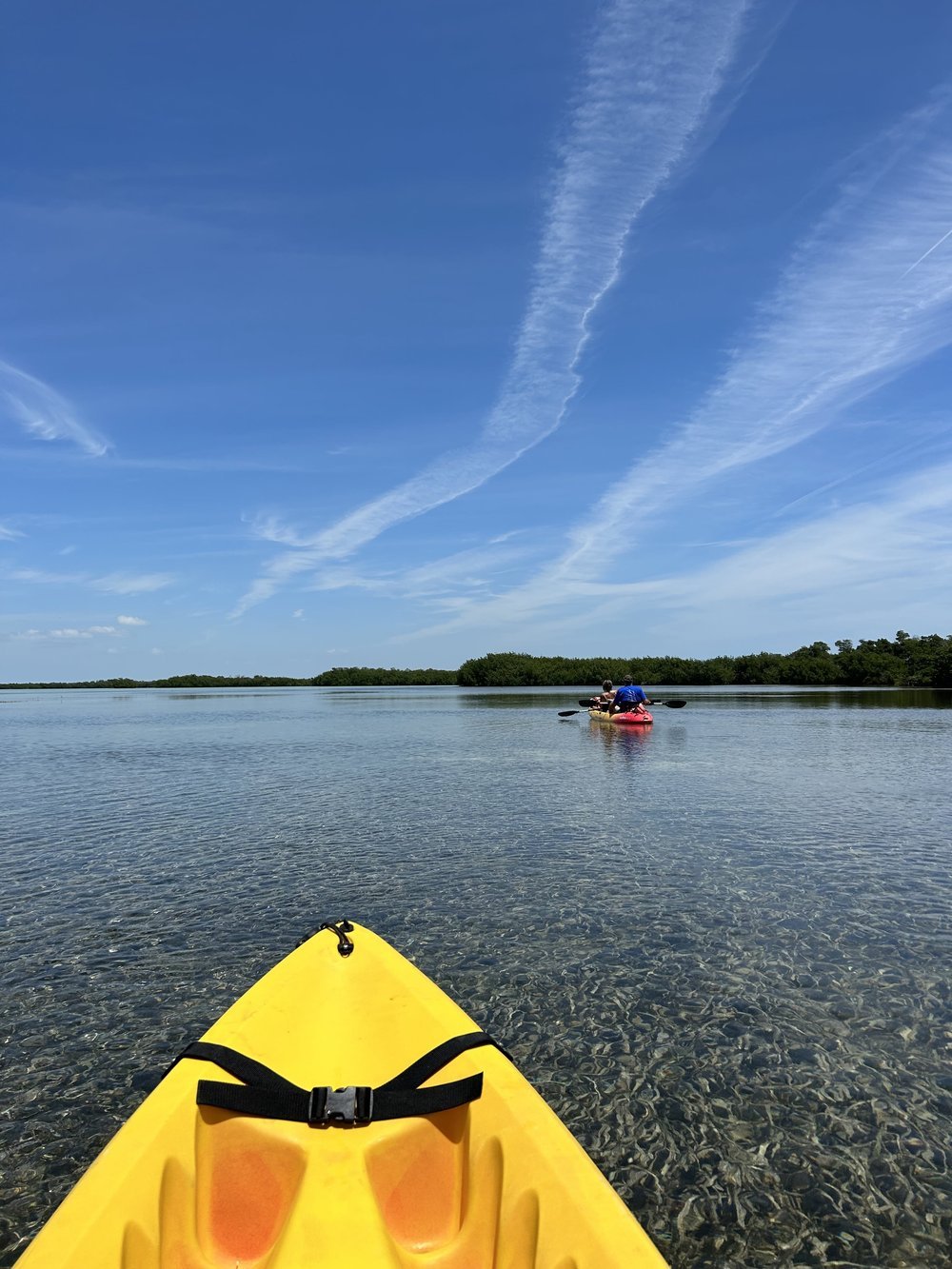 kayaking.jpeg